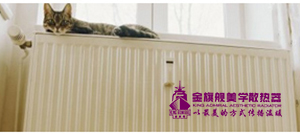 低碳钢星欧娱乐优缺点介绍