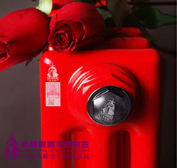 钢制星欧娱乐用什么品牌的好