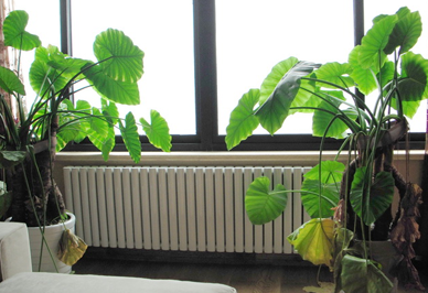 购买星欧娱乐首要考虑的问题是安全