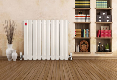 客厅星欧娱乐安装案例