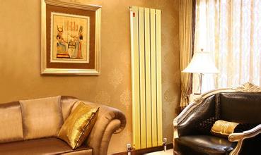 星欧注册铜铝复合散热器